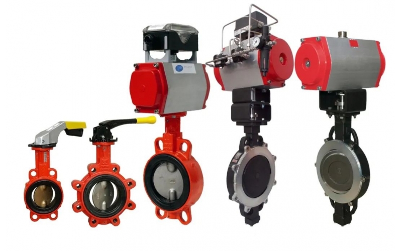 全新推出蝶完美网页版登录入口系列产品