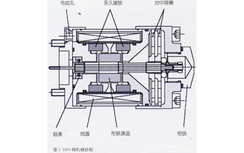 DDV完美网页版登录入口介绍及其应用